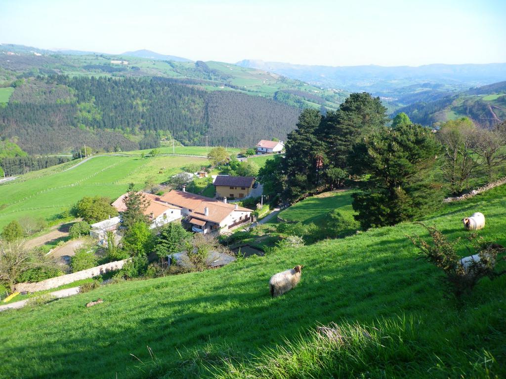 Gailurretan Hotel Carranza Luaran gambar